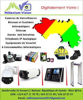 Flayers Millenium Vision 320x386